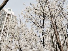 -苏州河梦清园环保主题公园