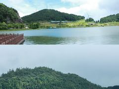 -武陵山森林公园