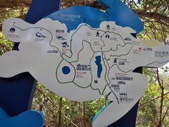 -广东惠东海龟国家级自然保护区