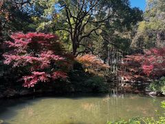 -杭州植物园