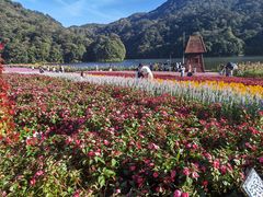 -广州市石门国家森林公园