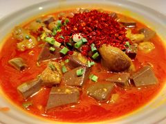 鸭血烧肥肠-眉州东坡(民族园店)