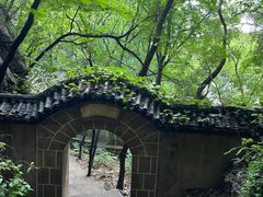 -抱犊崮国家森林公园