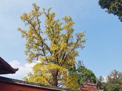 -金堂县云顶石城风景区