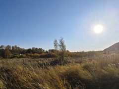 -塞罕坝国家级自然保护区