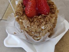 黄金蔬果脆-蒲公英(象山北路店)