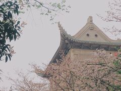 -武汉大学-樱园