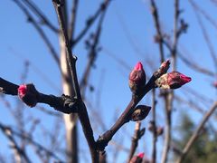 -上海市龙华烈士陵园