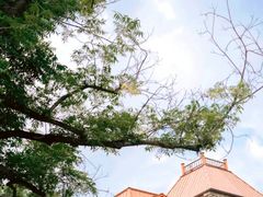 -德基艺术博物馆