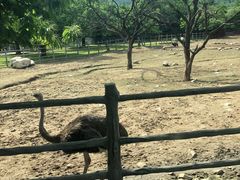 -西安秦岭野生动物园