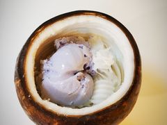 -志龙皇冠吃货椰子铺