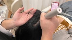 -菩叶脱发白发中心