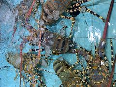 -渔民新村(番禺总店)