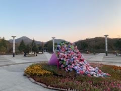 -白马涧龙池景区