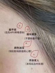 -薇薇安花系SPA