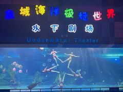 -泉城欧乐堡海洋极地世界