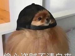 -馋火炉鱼(新世界百货望京店)