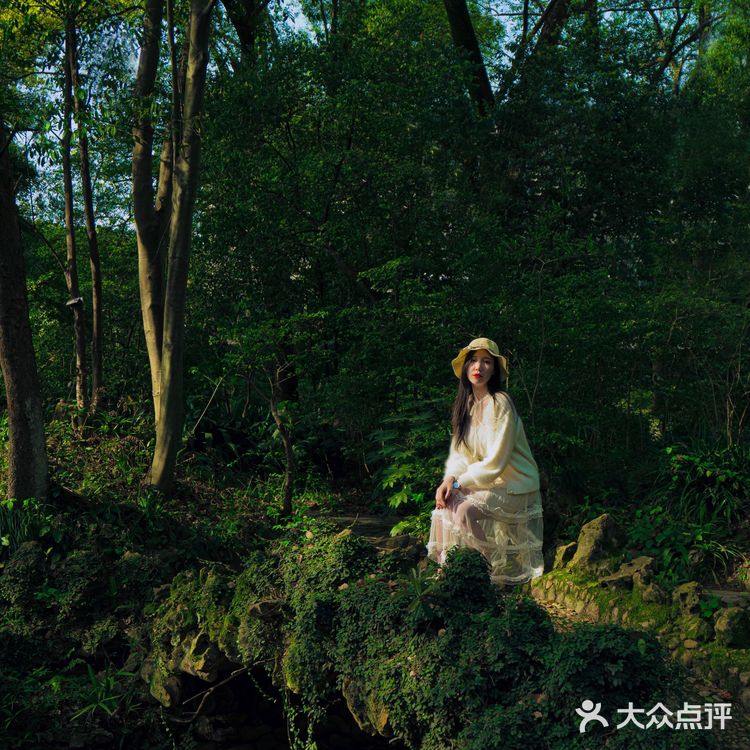 武汉植物园里的绿野仙踪