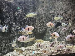 -多彩贵州城极地海洋世界