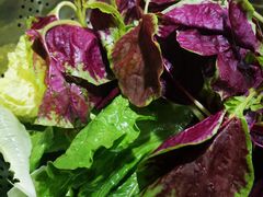 -黔府豆米火锅野菜馆(南马店)