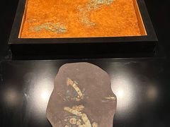 -盘龙城遗址博物院