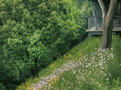 -西湖风景区-江洋畈生态公园