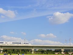 -光明小镇欢乐田园