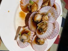 -什么餐馆(天主教堂店)