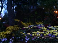 iphone_upload_pic-迎泽公园
