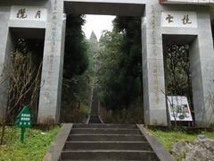 -江西阳明山国家森林公园