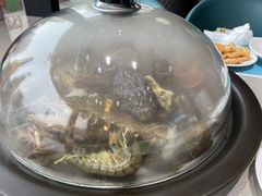 -大锅强·蒸海鲜青岛菜(吾悦广场店)