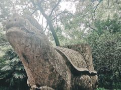 -灵谷景区