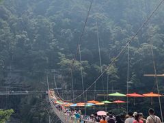 -九龙江国家森林公园