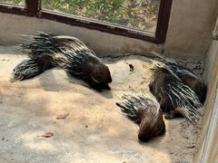 -呀诺达热带雨林