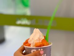 冻酸奶-Salud撒露欧洲冻酸奶(蓝色港湾店)