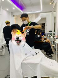 点击看大图 -AMOR慕尔造型