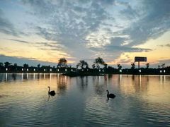 -明珠湖天鹅苑·农家菜馆