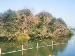 -三垟湿地