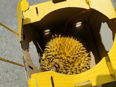 -麦德龙(镇江开发区店)