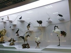 -国家自然博物馆