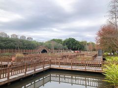 -五缘湾湿地公园