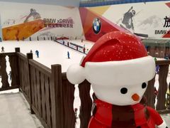-哈尔滨热雪奇迹