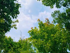 -苏州清山会议中心