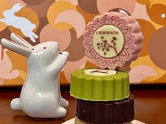 -Laderach 莱德拉(上海环贸iapm店)