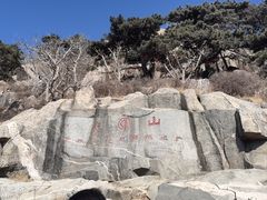 -泰山风景名胜区