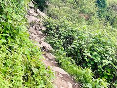 -九峰山