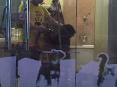 -康乐宝动物医院