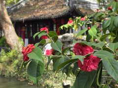 -绮园景区