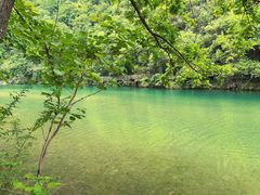 -郧西五龙河风景区