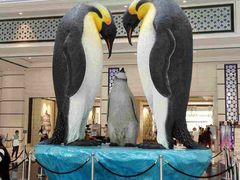 -帝企鹅自助餐厅•儿童岛•真企鹅(长隆企鹅酒店)